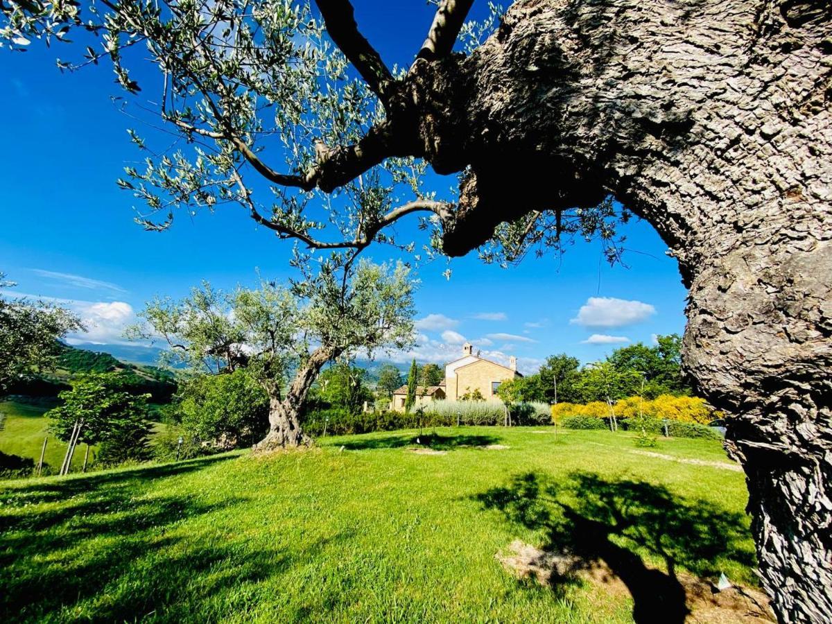 Agriturismo Borgo Del Ginepro Villa Castiglione Messer Raimondo Exterior photo